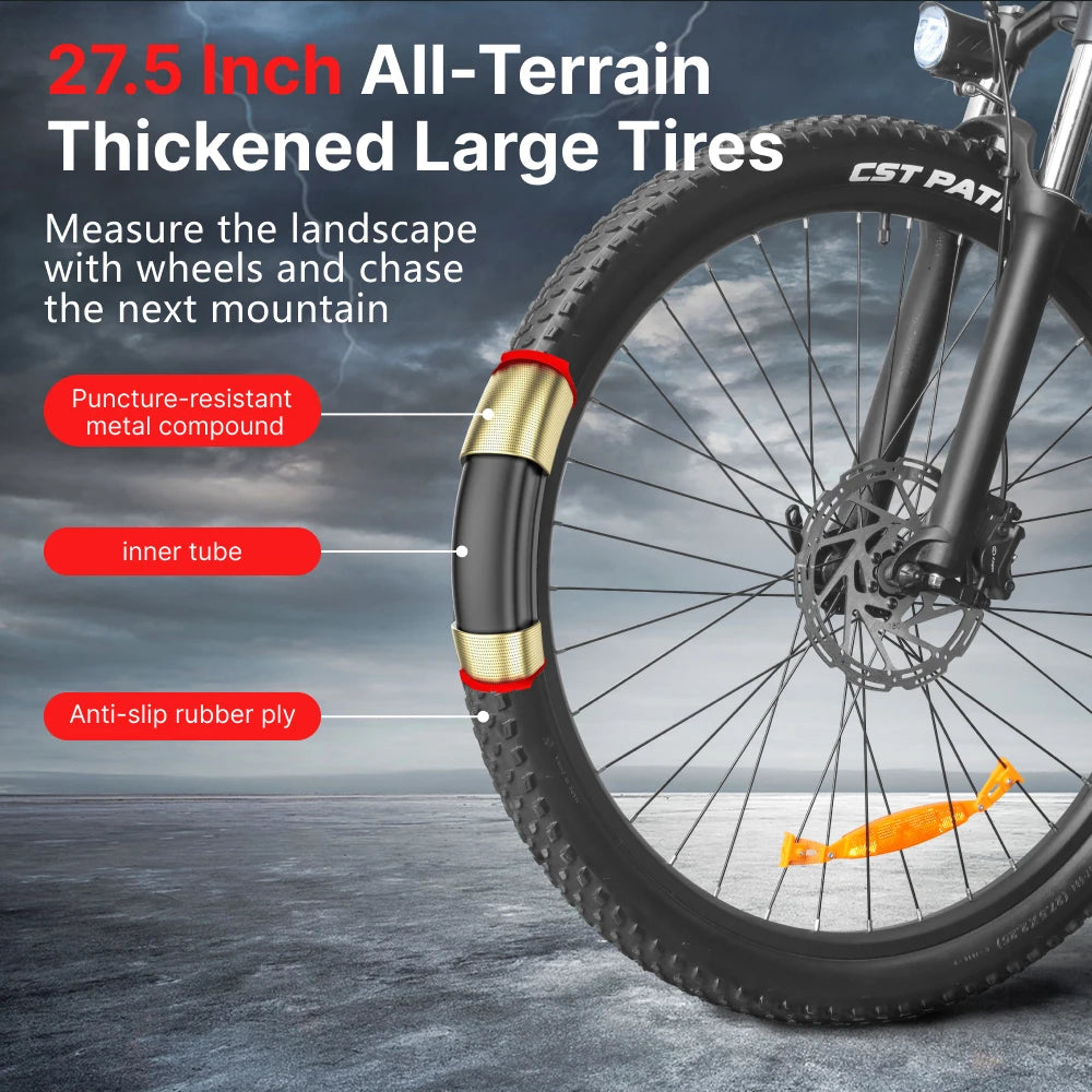 HX Q5 2000W Electric Mountain E Bike 48V 20Ah Off Road