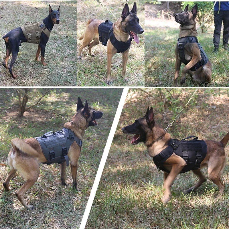 Tactical Military Vest German Shepherd Harness And Leash