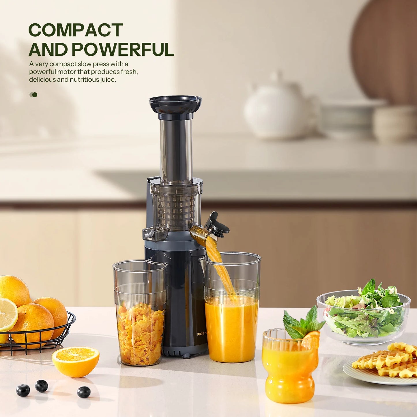 Reemix Masticating Juicer Machine Cold Press Compact Size Juice Extractor Nutrient Retention