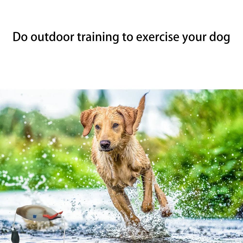 Duck Bumper Toy for Hunting Dogs Mallard Dummy Training