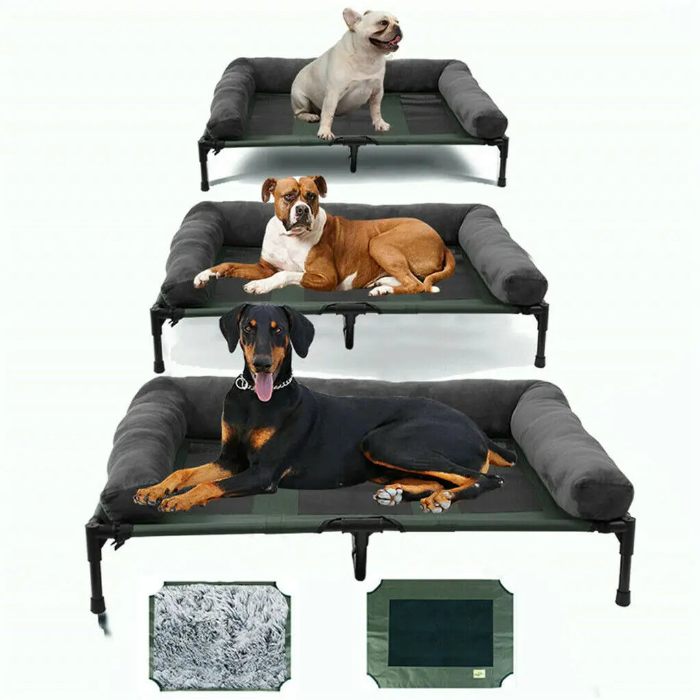 Elevated Dog Bed IndoorOutdoor Lounger L XL 2XL With Detachable Bolster Cooling
