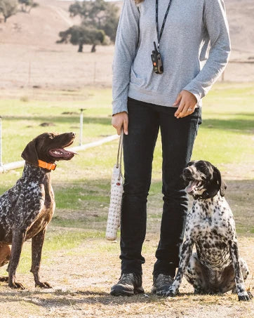 Handsfree Remote Dog Training E Collar Range Three Quarters Mile Waterproof