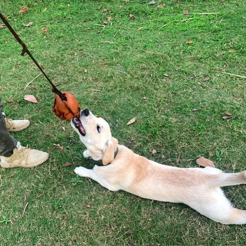 Leather Dog Training Ball Tug Toy With Handle Soft Puppy Reward For Fetch