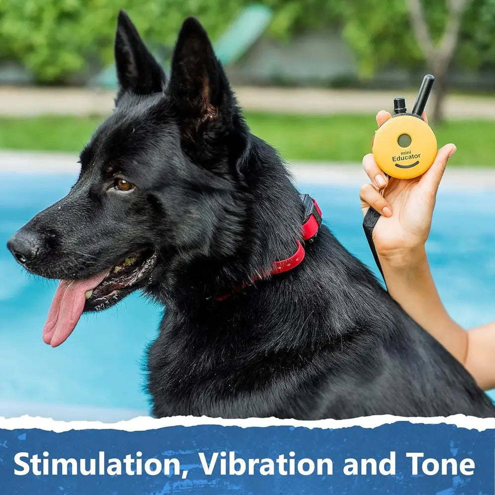 ET 302 Mini E Collar With Remote Half Mile Range Waterproof Tone Or Vibration