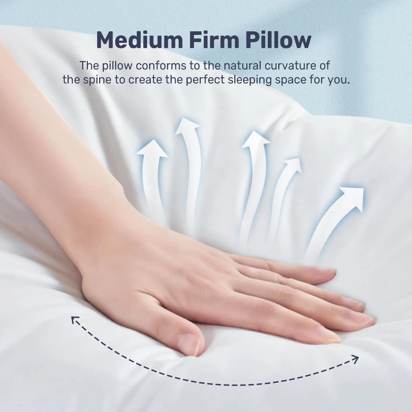 Tex Stead Goose Down Pillow 100 Percent Cotton Set Bed Pillow Luxury Hotel White Pillow Core Comfortable and Warm 2 Piece Set