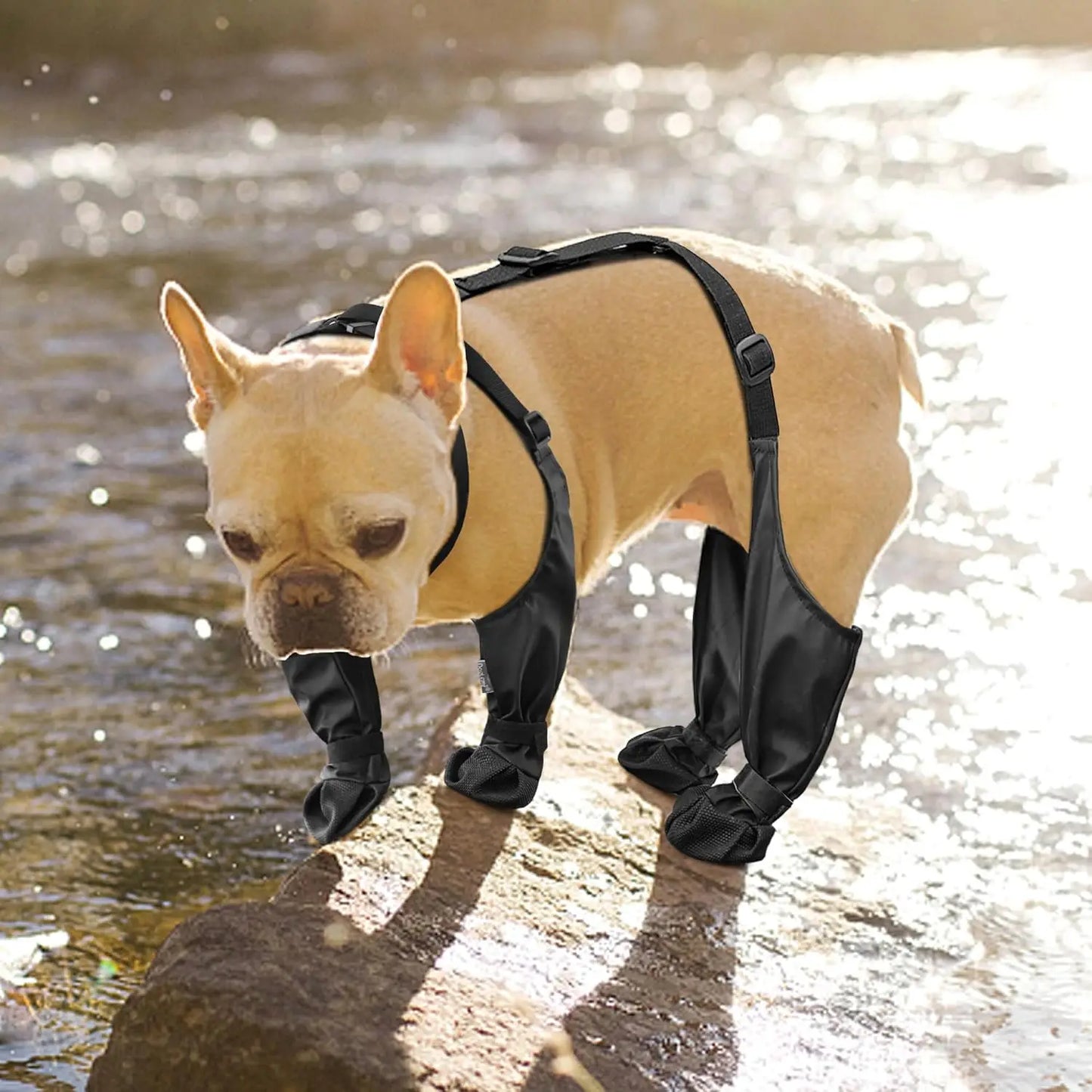 Outdoor Dog Boots With Suspenders Waterproof Paw Protectors For Small Large Dogs