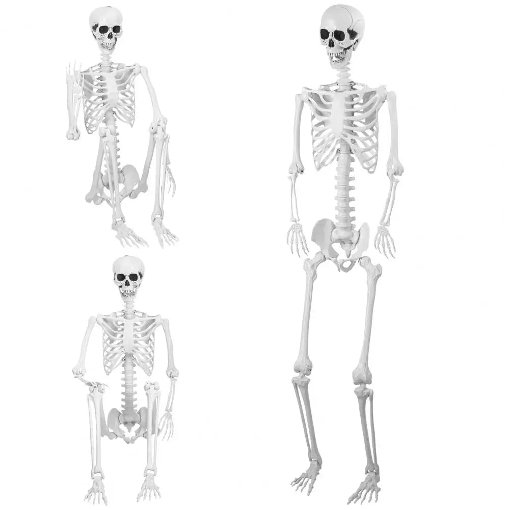 2.4m Posable Halloween Skeleton Haunted House Decor Gift