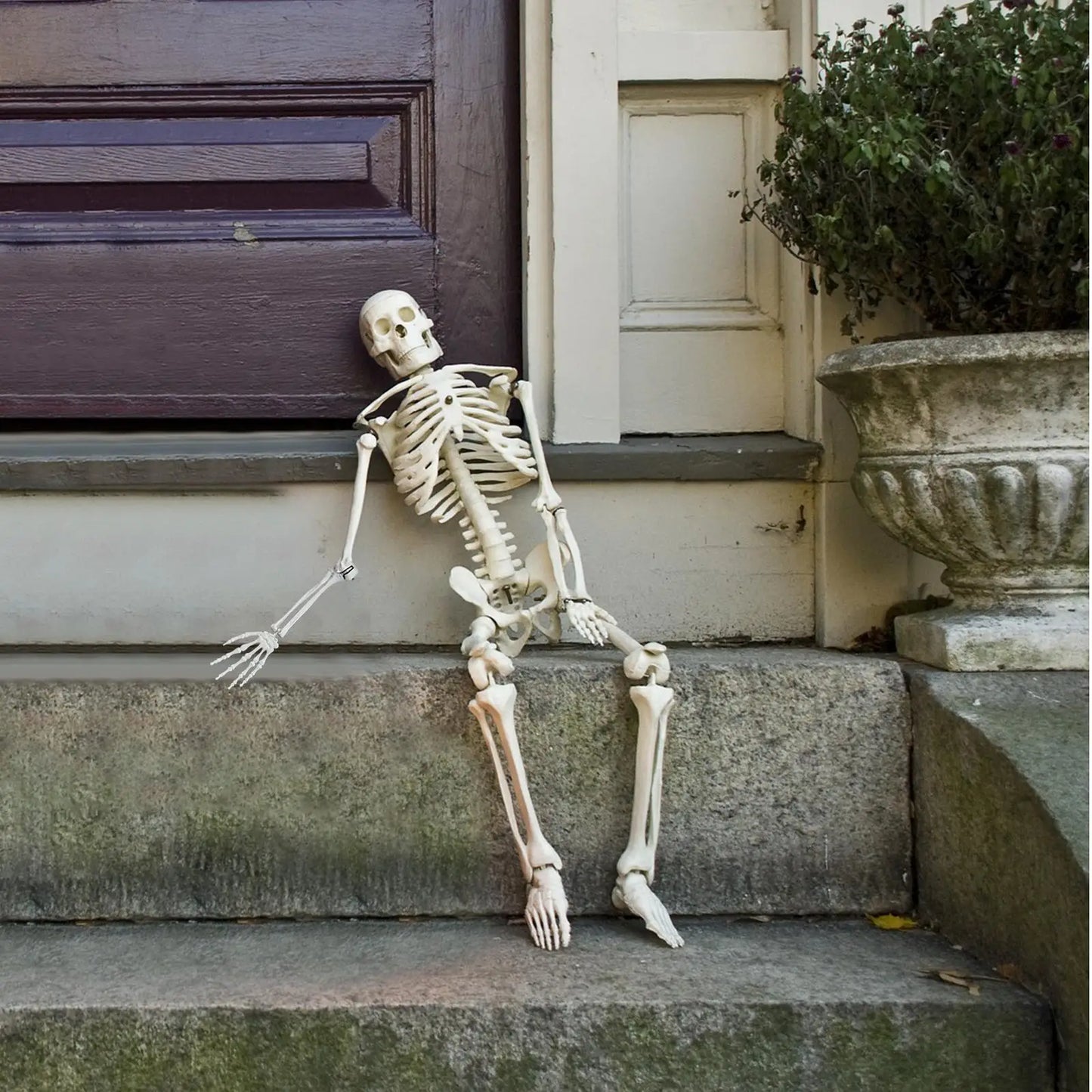 Realistic 165cm Halloween Skeleton Decoration with Movable Joints and Sound Effect for Home Ornament and Photo Display