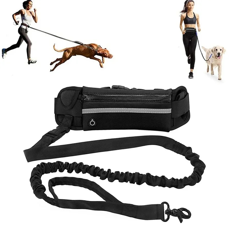 Hands Free Dog Leash Retractable Elastic Belt With Reflective Waist Bag Running