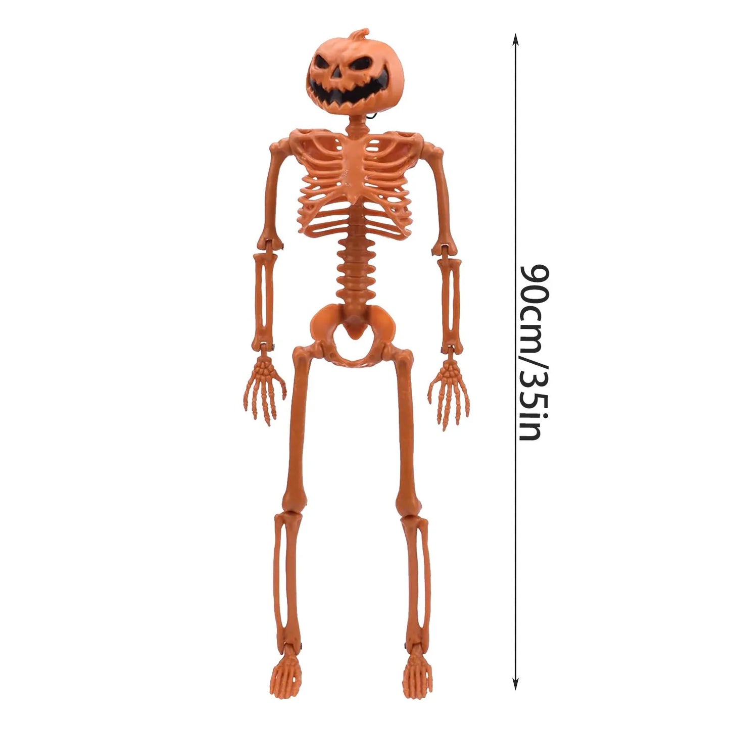Poseable Halloween Skeleton Prop Full Size 35 Inch Decor