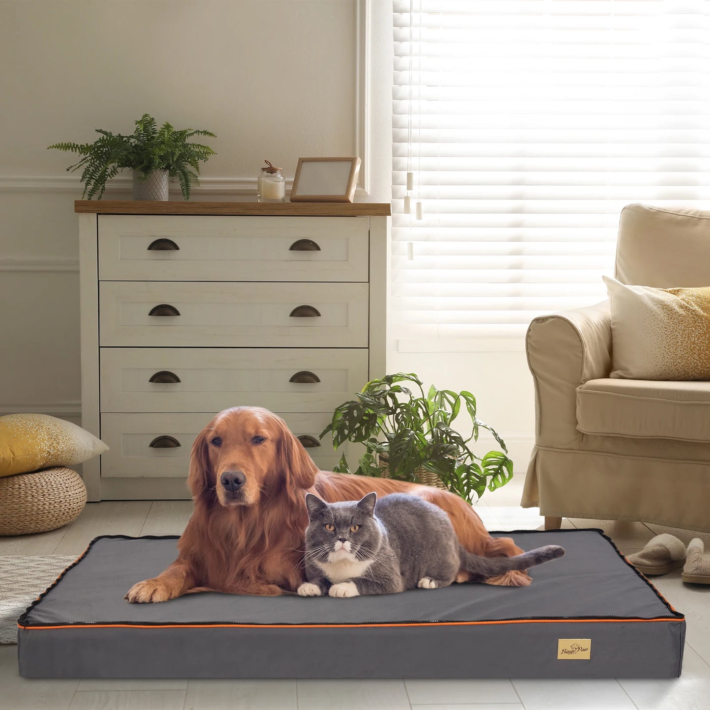 Large Orthopedic Dog Bed With Removable Washable Cover Padded Foam Cushion