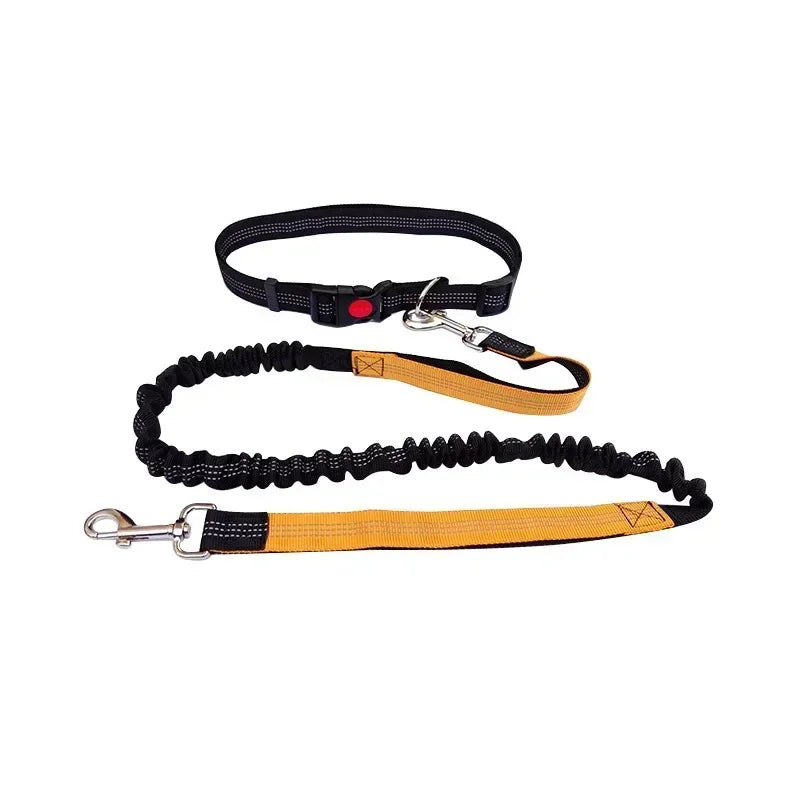 Hands Free Dog Leash For Walking Running Adjustable Belt
