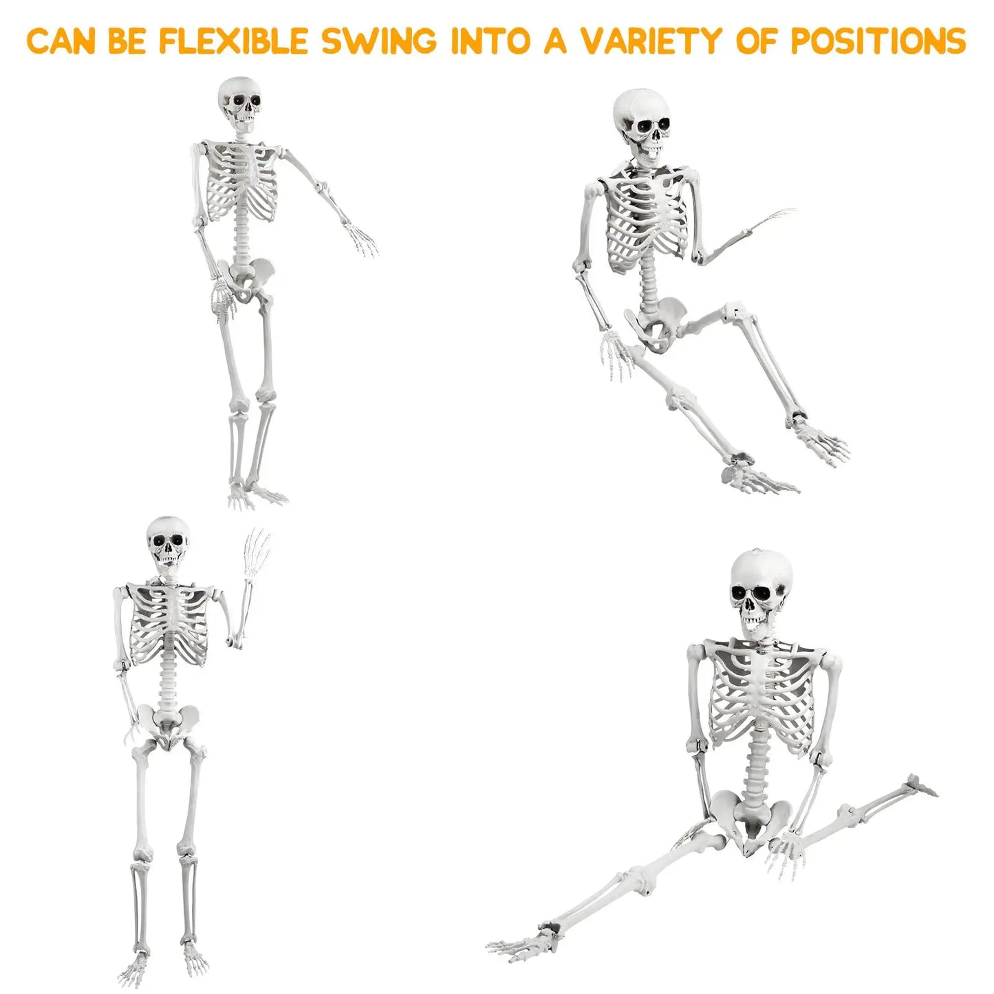 Realistic 165cm Halloween Skeleton Decoration with Movable Joints and Sound Effect for Home Ornament and Photo Display