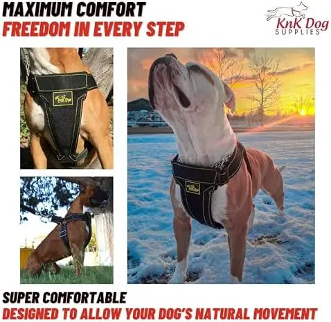 Heavy Duty Dog Harness For Pitbulls By YTYIN Durable Comfort