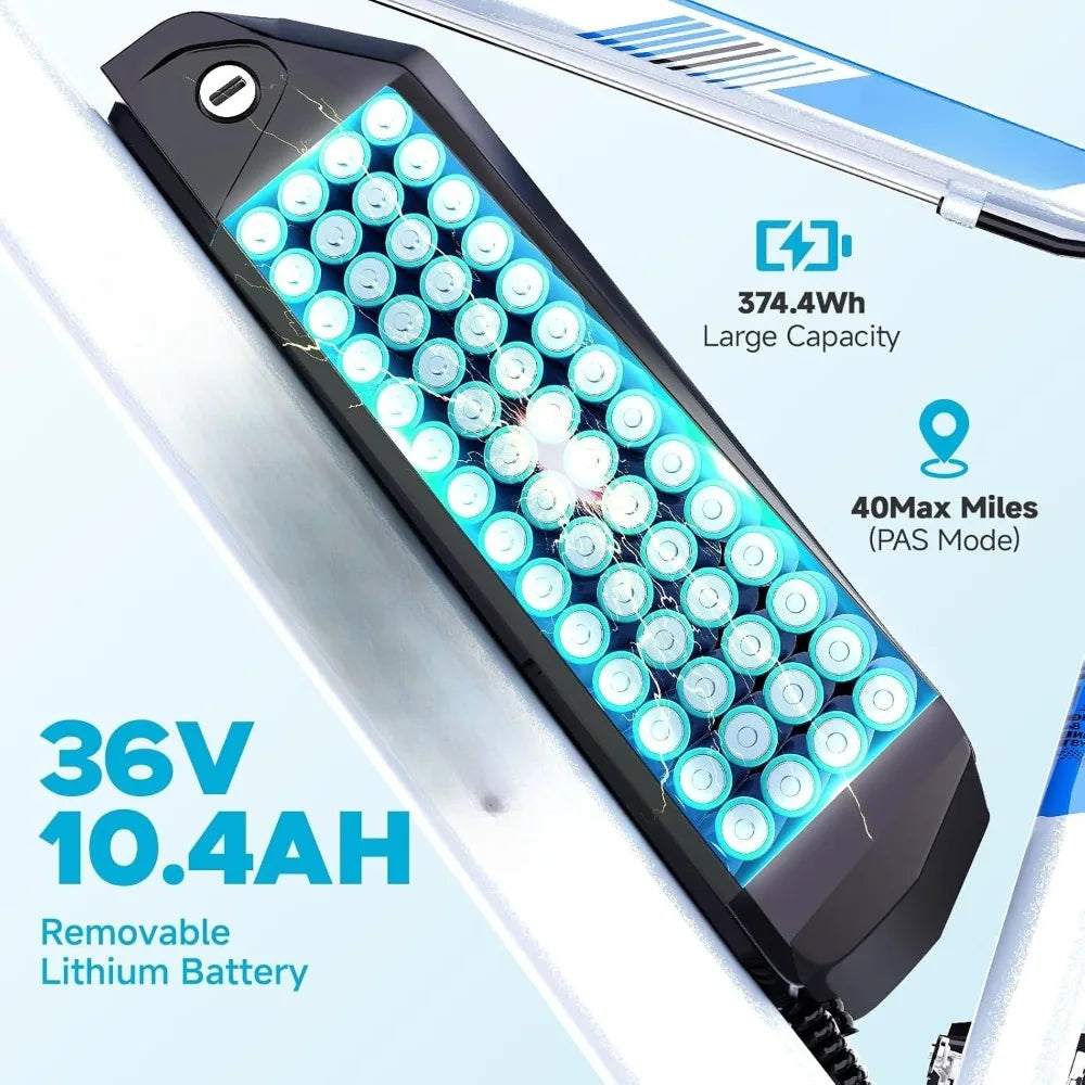 Electric Bike 350W 26 Inch 21 Speed Dual Disc Brake