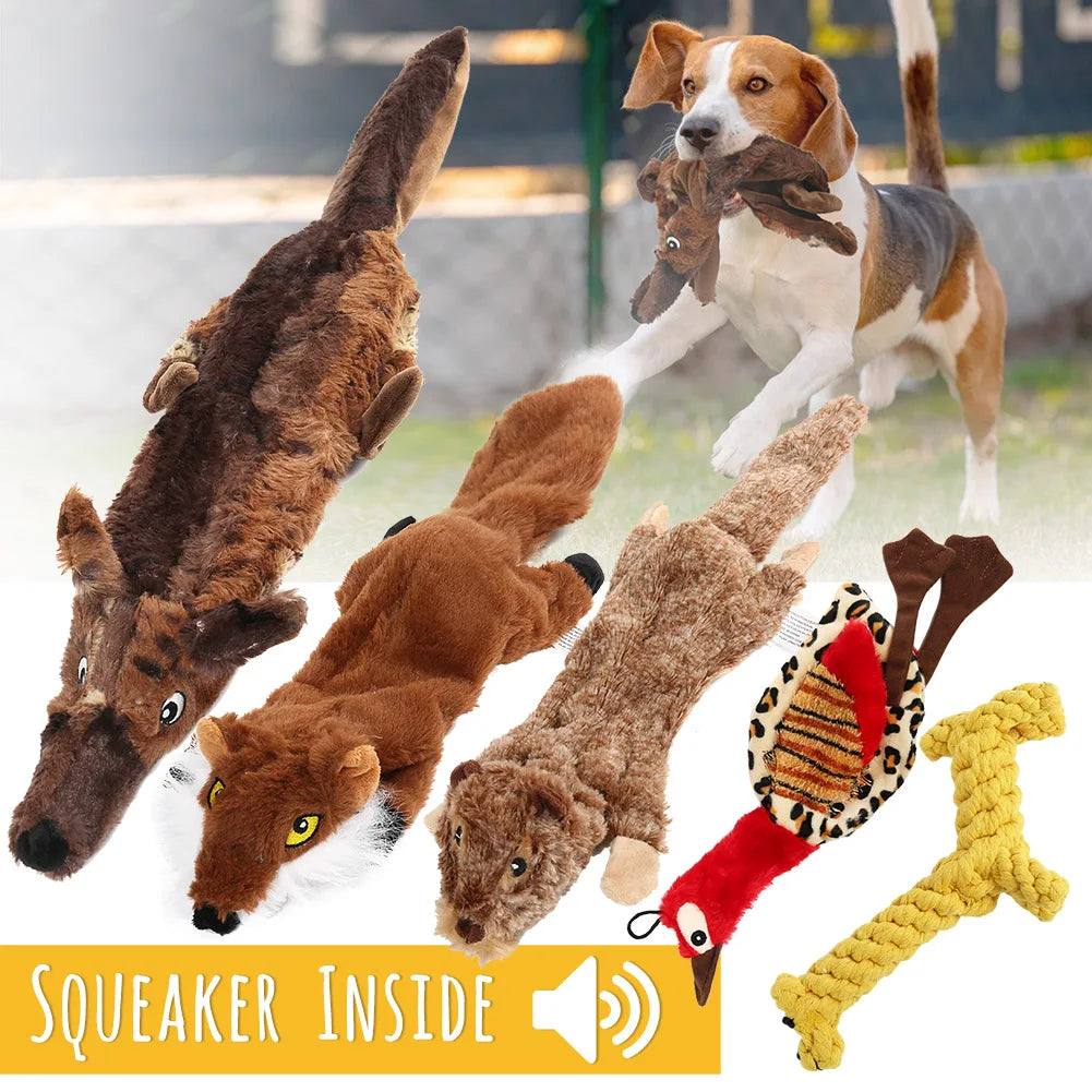 5 Pack Crinkle Squeaky Dog Toys No Stuffing Durable Plush For Small Medium Dogs