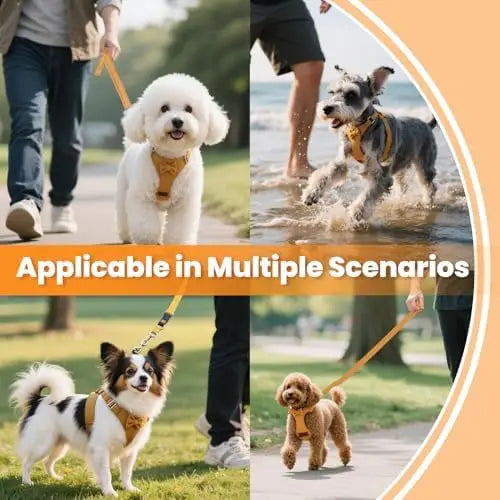 Adjustable Small Dog Harness With Leash 1.5m Puppies Yellow XS