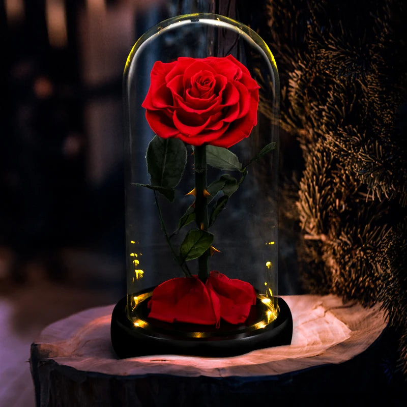 Forever Preserved Rose In Glass LED Light Gift Valentines