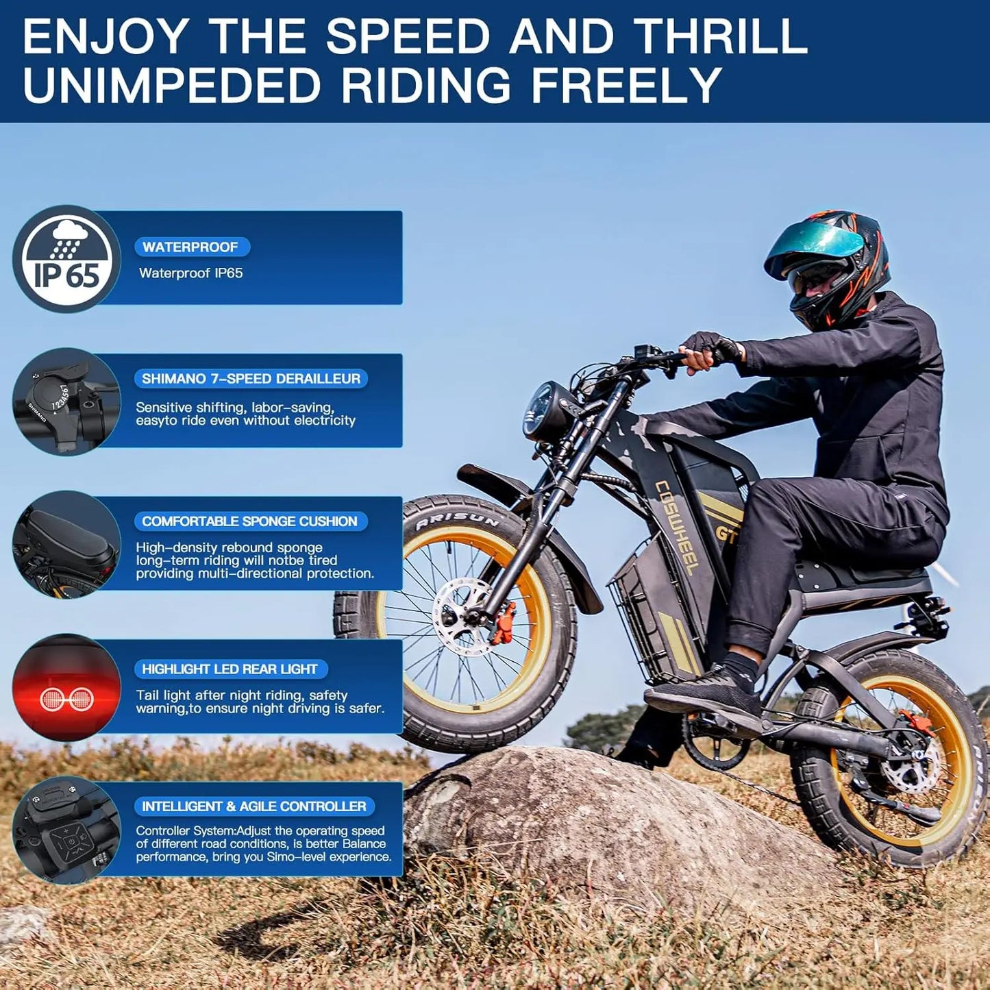 Coswheel Electric Bike Dual Motor GT20 Pro 3000W 48V 40AH Mountain Off Road Fat Tire Ebike