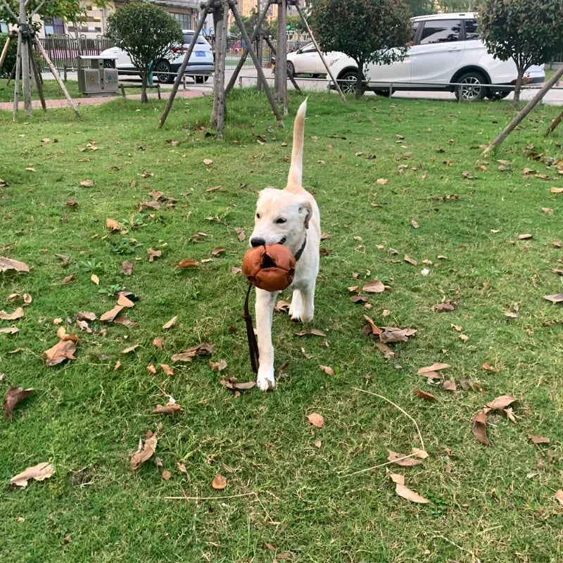 Leather Dog Training Ball Toy With Handle For Fetch And Tug