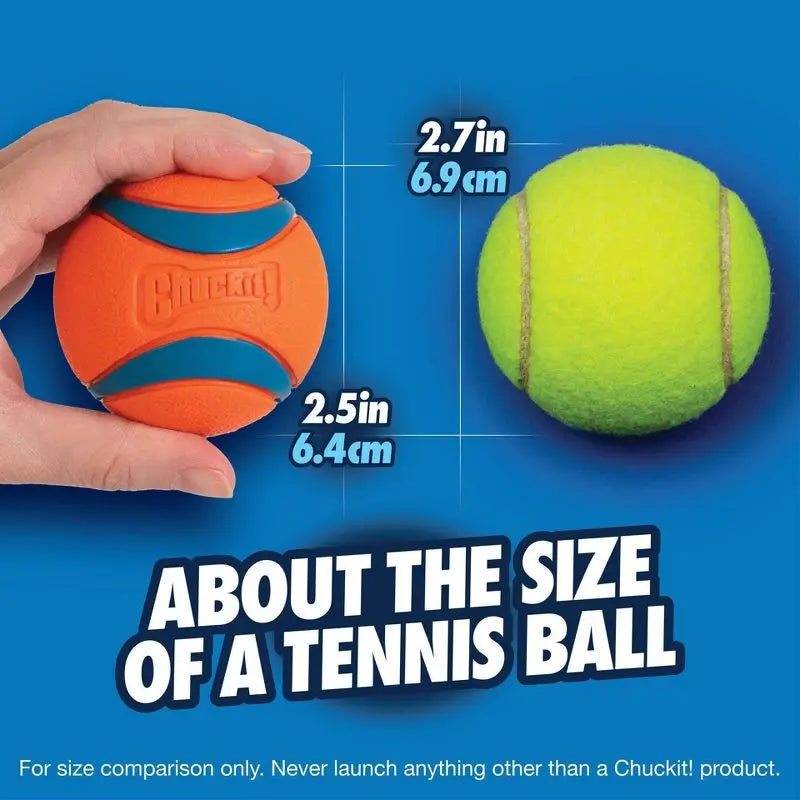 High Bounce Rubber Dog Ball 2 Pack for Fetch Water Toys