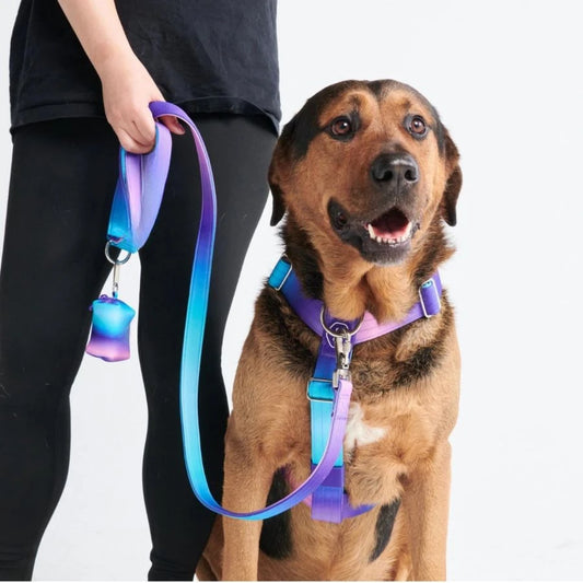 No Pull Dog Harness For Large Dogs Heavy Duty Adjustable Y Shaped Padded Halter