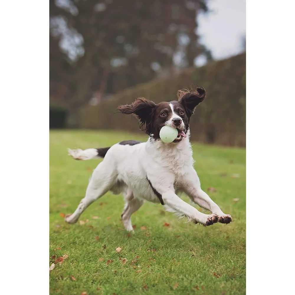 Chuckit Max Glow Ball Dog Toy For Nighttime Play Fun