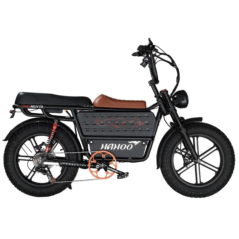 HAHOO H20 20 Inch EBike Mountain Bike 2000W Dual Suspension