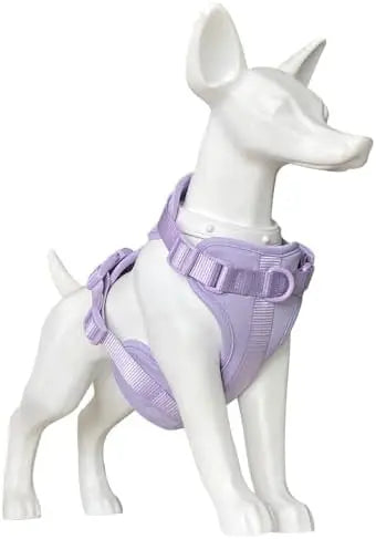 YTYIN Adjustable Dog Harness Set With Collar Leash Waste Bag Holder Lightweight