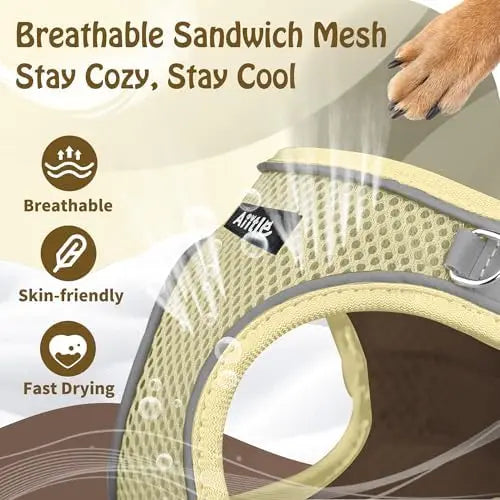 Adjustable Dog Harness And Leash Set Padded Vest Easy Fit For Small Pets