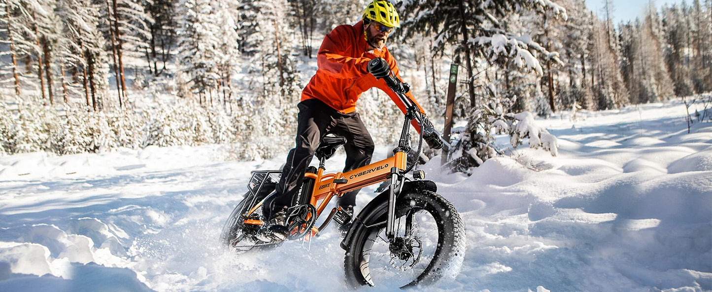 1000W Folding Electric Bike With Removable 48V 20Ah Battery