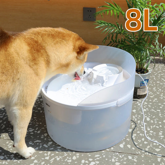 NPET 2 Gallon White Dog Water Fountain For Large And Medium Dogs