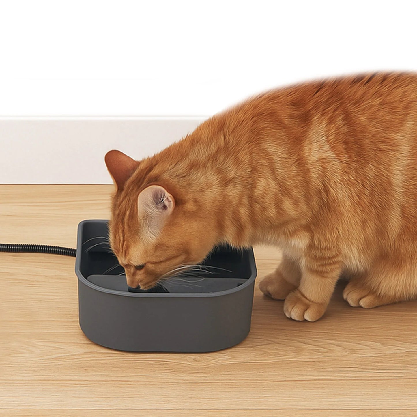 Plastic Heated Pet Bowl Hanging Water Bowl For Dogs Cats Rabbits 1L US
