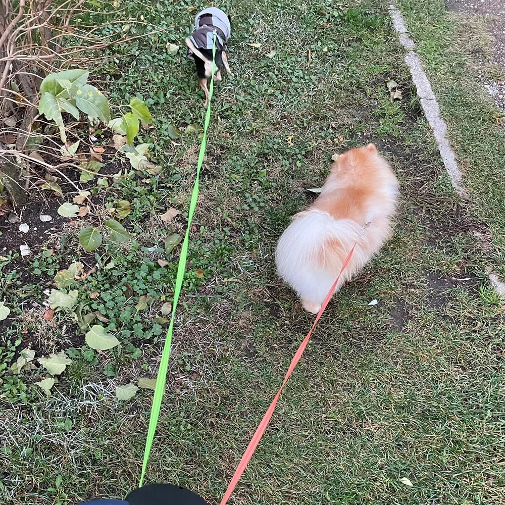 3m Dual Dog Leash With Flashlight And Waste Bag Box