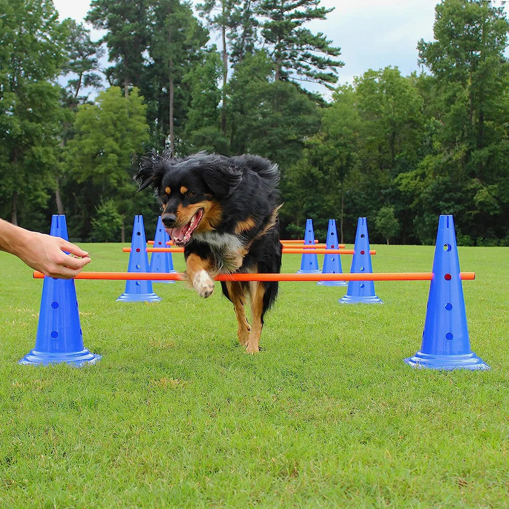 Dog Agility Training Set Jumping Bar Obstacle Hurdle Equipment For Pets