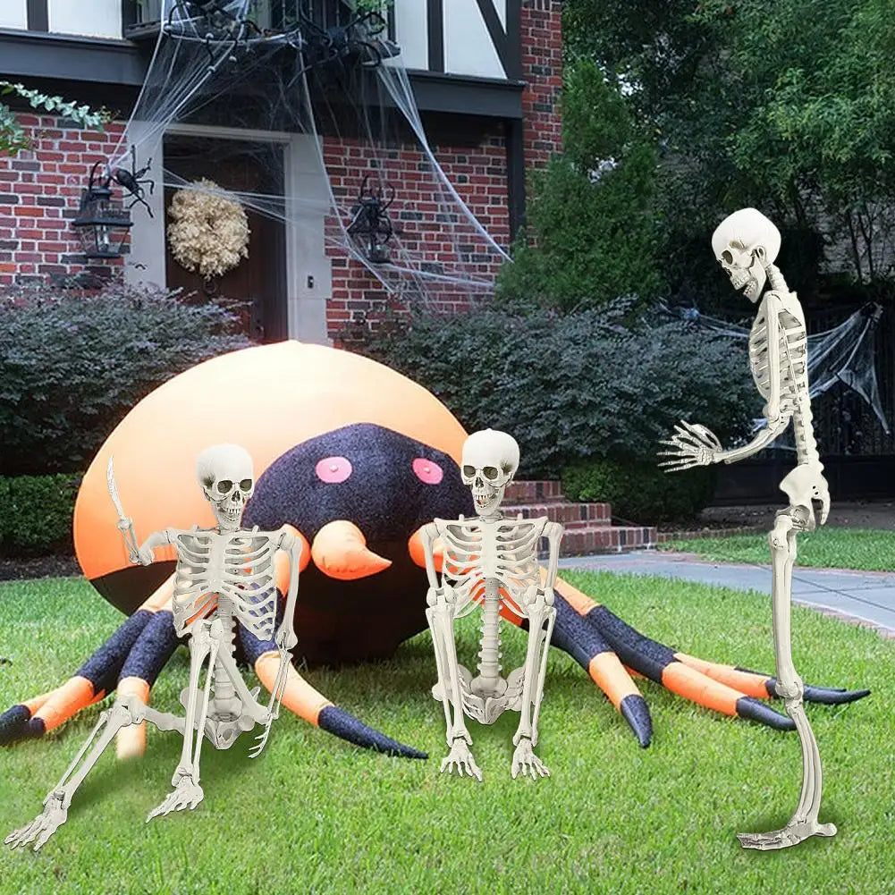 5.4Ft Poseable Skeleton Movable Joints Life Size Halloween