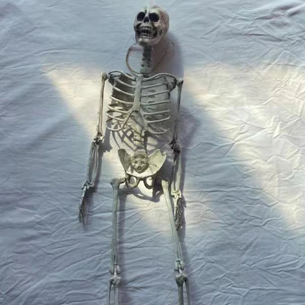 Life Size Haunted Skull Prop Hanging Decor For Halloween