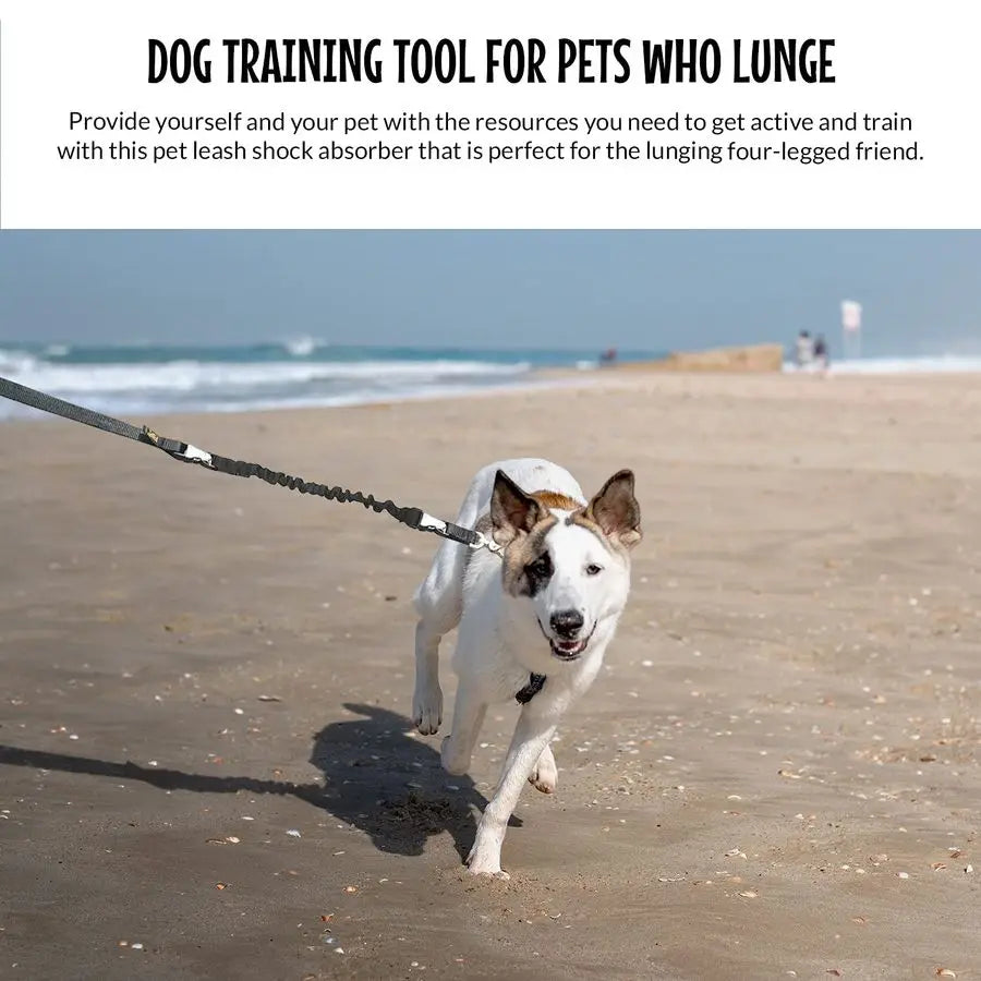 Hands Free Dog Leash Adjustable For Running And Training Made In USA Bundle