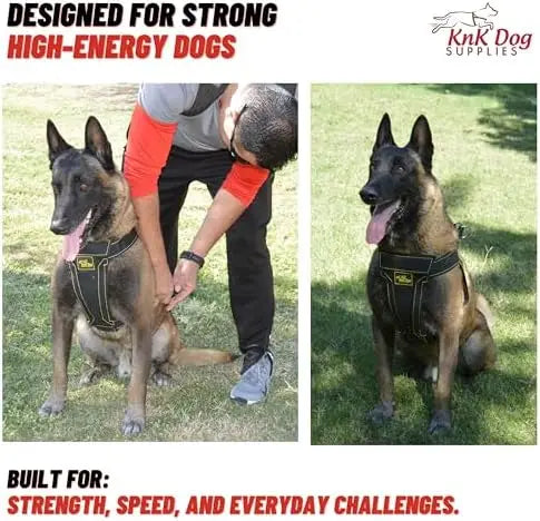 Heavy Duty Dog Harness For Pitbulls By YTYIN Durable Comfort