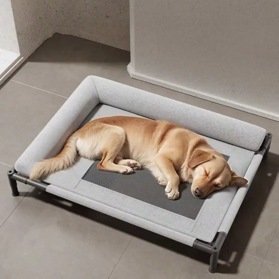 All Seasons Universal Dog Nest Bed Removable Washable Off The Ground Pet Bed
