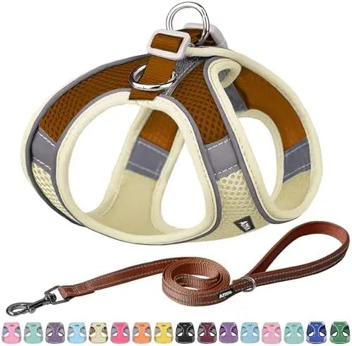 Adjustable Dog Harness And Leash Set Padded Vest Easy Fit For Small Pets