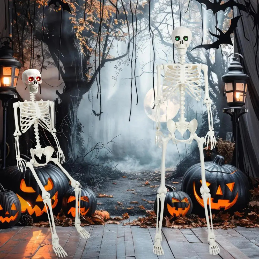 Five Point Four Feet Life Size Light Up Skeleton With Joints