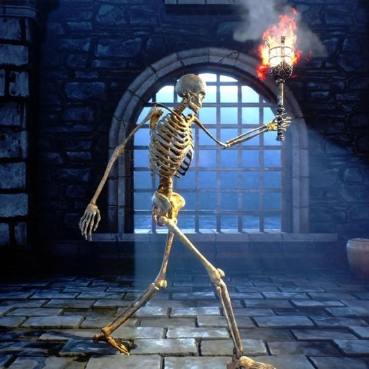 Realistic 165cm Halloween Skeleton Decoration with Movable Joints and Sound Effect for Home Ornament and Photo Display