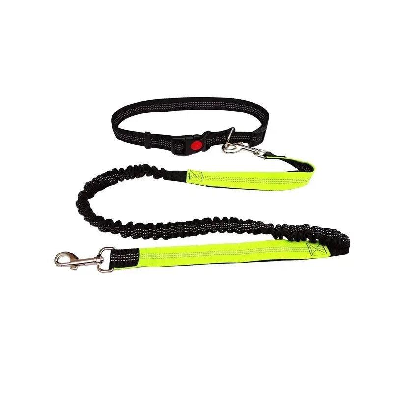 Hands Free Dog Leash For Walking Running Adjustable Belt