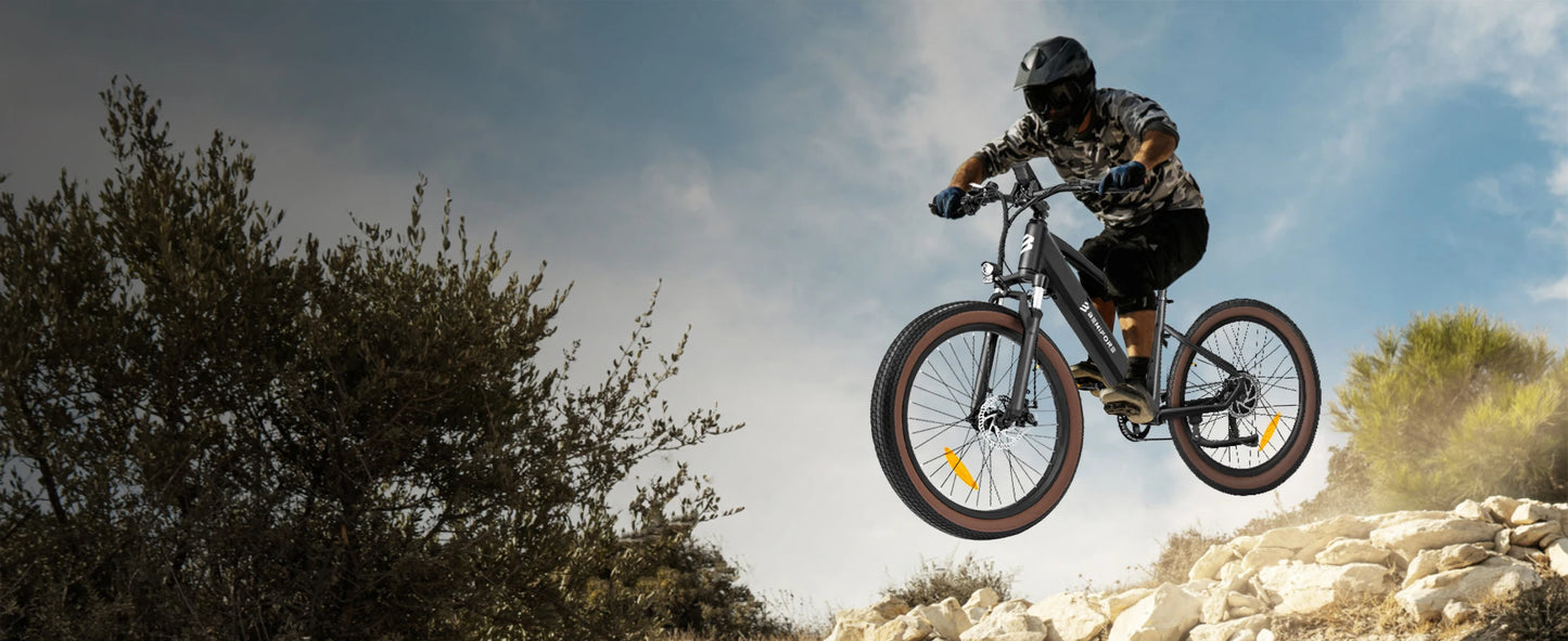 Luckeep C26 Adult E Bike 750W 48V 15Ah Removable Battery
