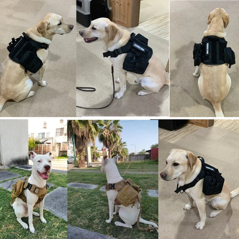 Tactical Military Vest German Shepherd Harness And Leash