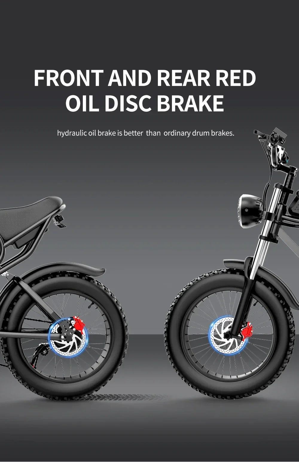 RidstarQ20 2000W Dual Motor Mountain E Bike 52V 40Ah