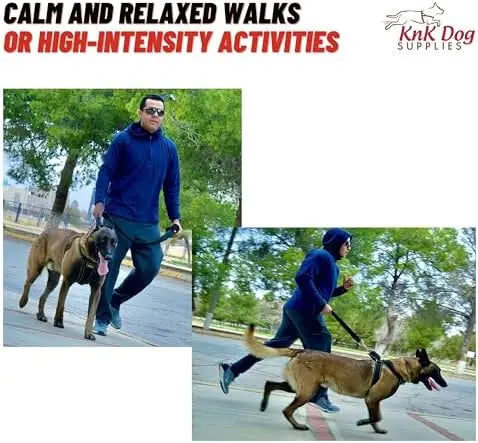 Heavy Duty Dog Harness For Pitbulls By YTYIN Durable Comfort