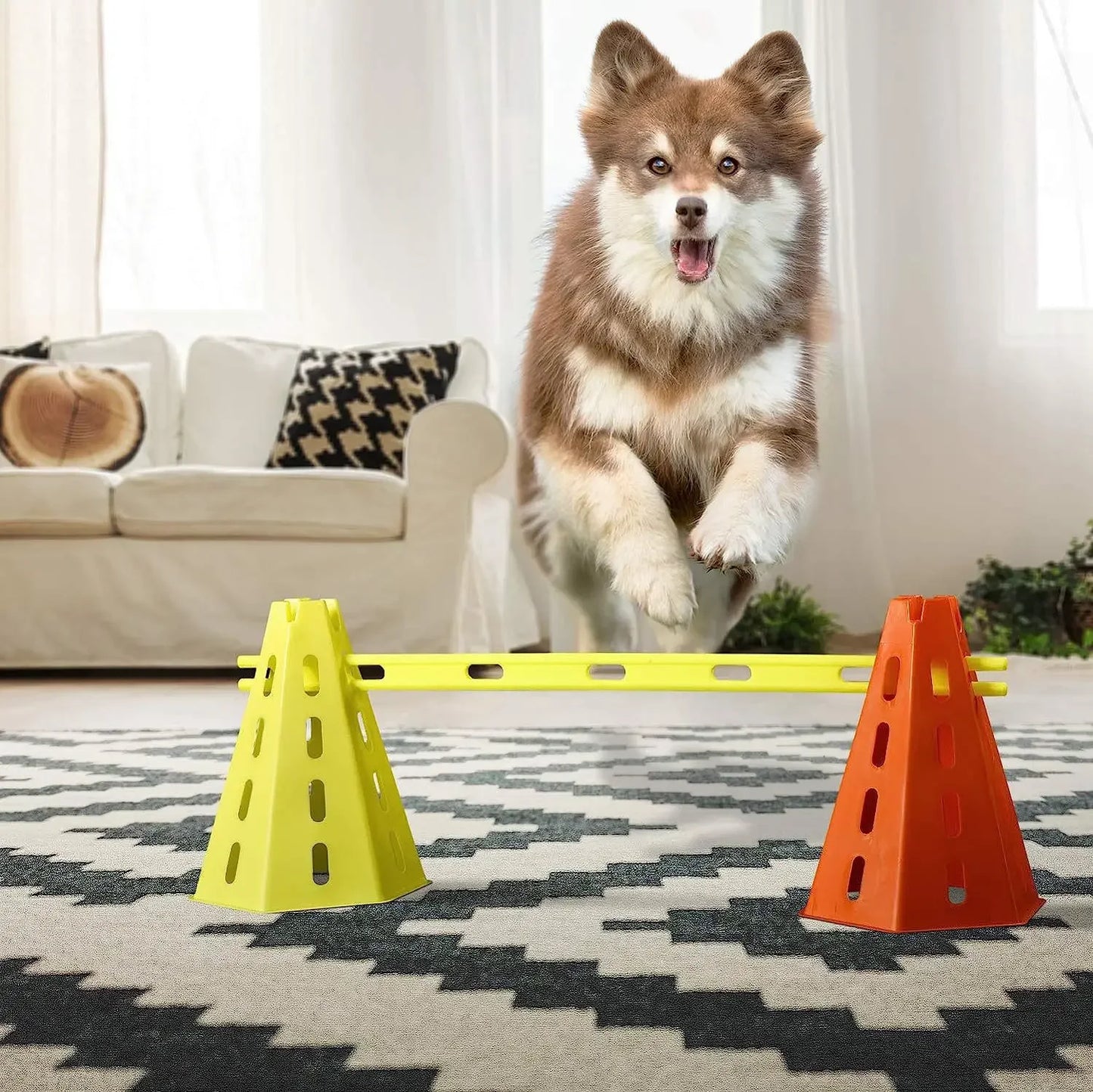 Dog Agility Training Set Jumping Bar Obstacle Hurdle Equipment For Pets