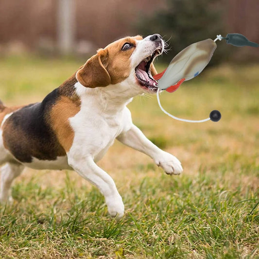Duck Bumper Toy For Hunting Dogs Mallard Bird Dummy Waterfowl Retrieval Training